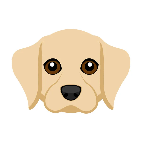 Lindo labrador retriever perro avatar — Vector de stock