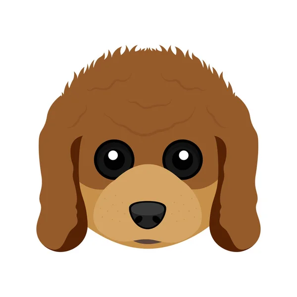 Cute poodle dog avatar — Stock Vector