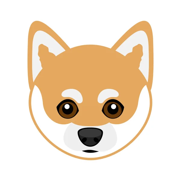 Cute shiba inu cão avatar —  Vetores de Stock