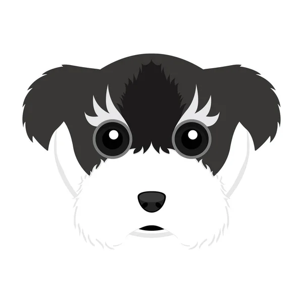 Cute schnauzer dog avatar — Stock Vector