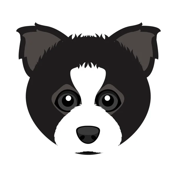 Cute border collie dog avatar — Stock Vector