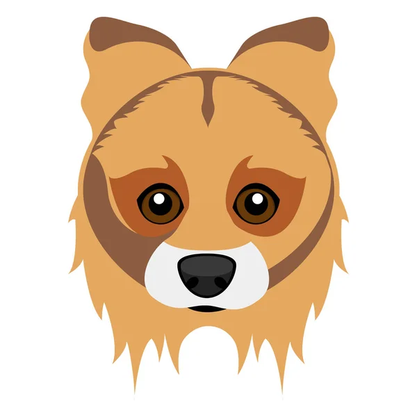 Cute collie dog avatar — Stock Vector