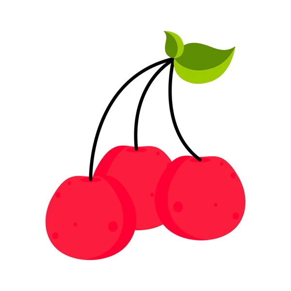 Izolované třešňové ovoce — Stockový vektor