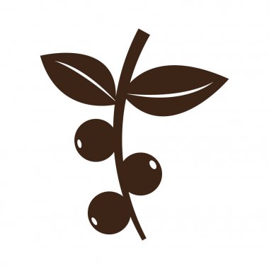 İzole kahve çekirdekleri simgesi