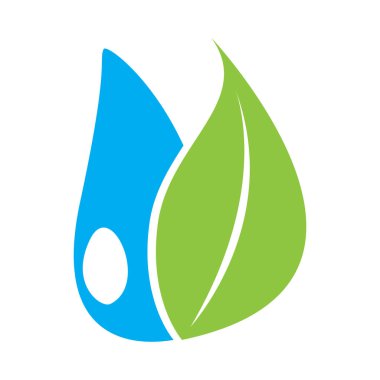 Yaprak ve bir yağmur damlası