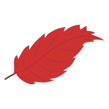 izole sonbahar yaprak