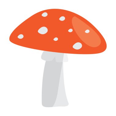 İzole edilmiş mantar görüntüsü