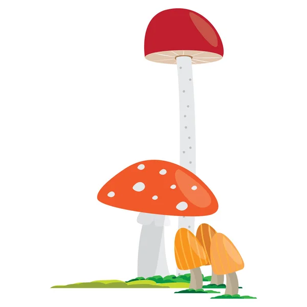 Gruppo di funghi — Vettoriale Stock