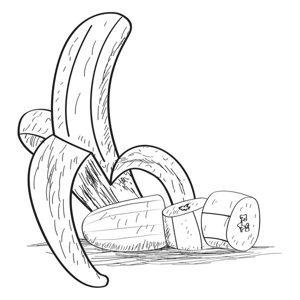 Sketch of a cut banana — Stock Vector