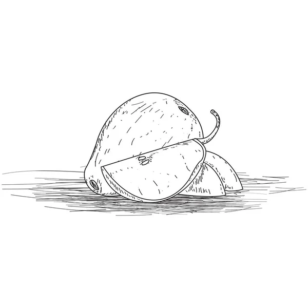 Croquis d'une coupe de goyave et de poire — Image vectorielle