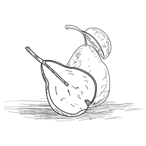 Boceto de una pera cortada — Archivo Imágenes Vectoriales