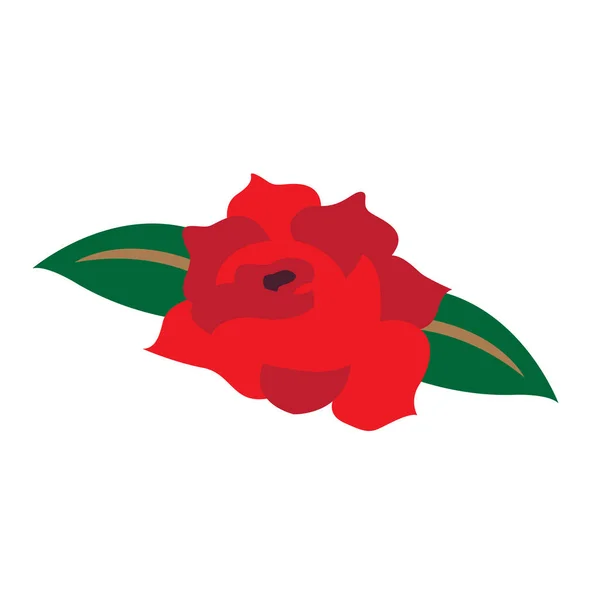 Rosa roja aislada — Vector de stock