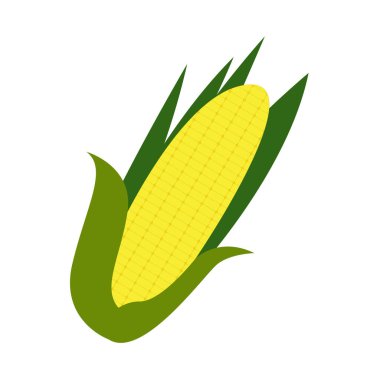 Mısır koçanı resmi
