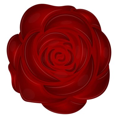 izole kırmızı gül