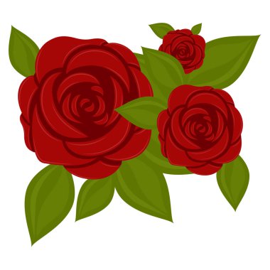 güzel kırmızı gül