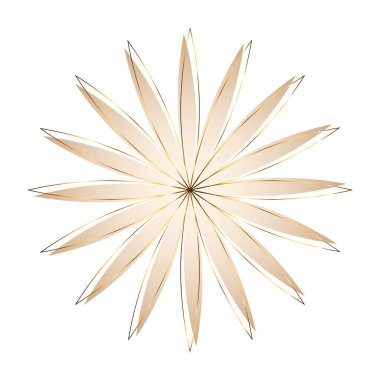 Lüks papatya çiçeği.