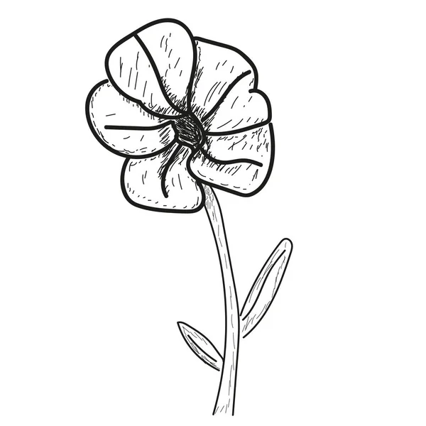 Izolované květina skica — Stockový vektor
