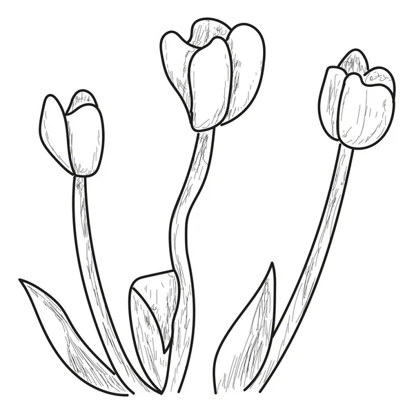 Geïsoleerde bloem schets — Stockvector