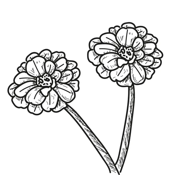 Απομονωμένη λουλούδι σκίτσο — Διανυσματικό Αρχείο