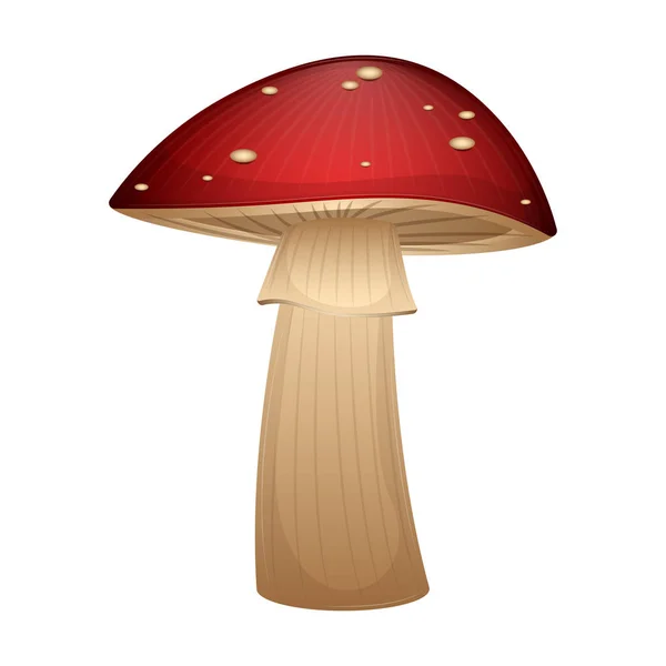 Ізольоване зображення гриба — стоковий вектор