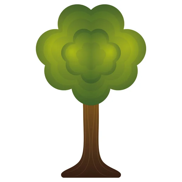 Árbol natural beatiful aislado — Vector de stock