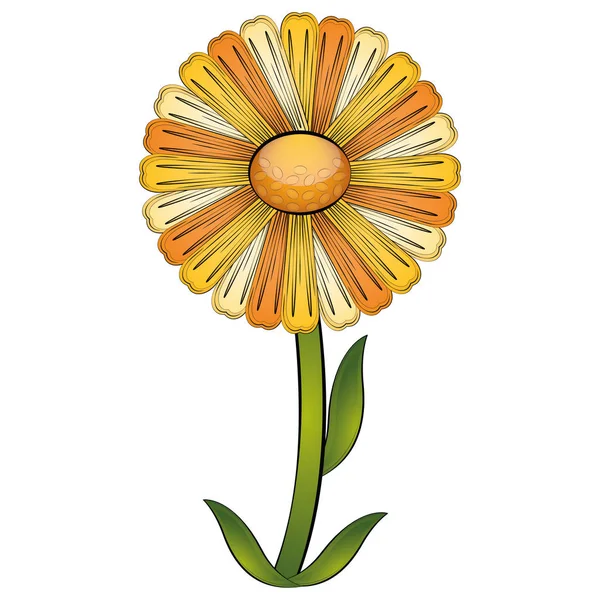 Aislado hermosa flor de margarita — Vector de stock