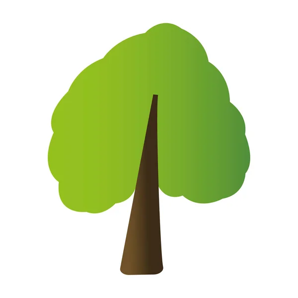 Geïsoleerde boom pictogram — Stockvector