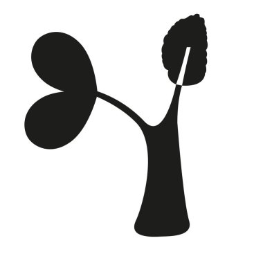 Bir ağacın silueti