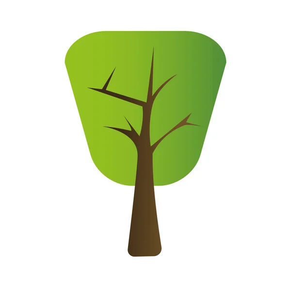 Izolált fa ikon — Stock Vector