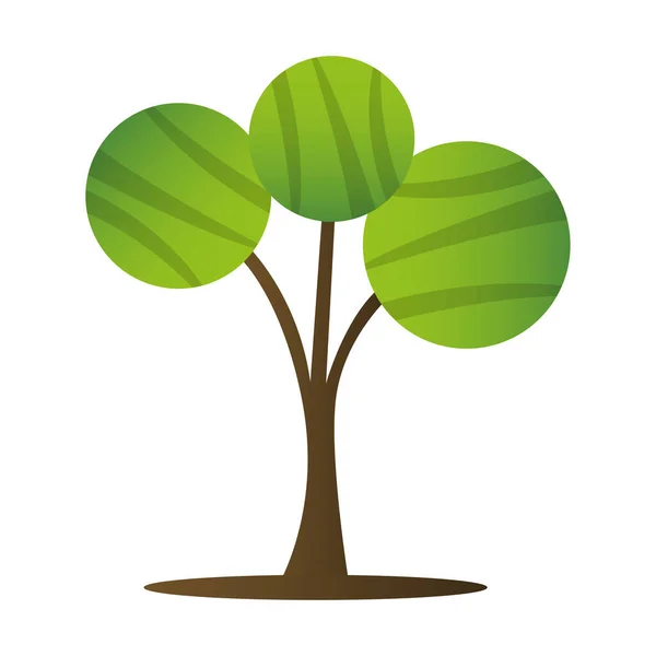 Icono de árbol aislado — Vector de stock