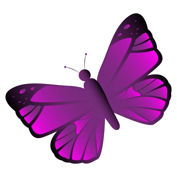 Isolated beautiful butterfly — Stock Vector