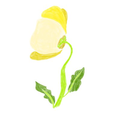 Issız suluboya çiçek