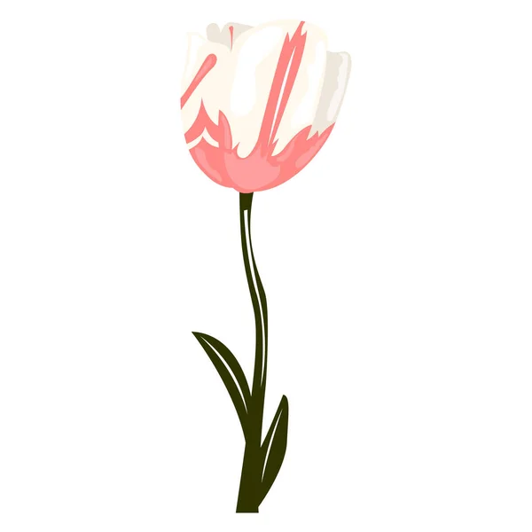 Isolerad akvarell blomma — Stock vektor