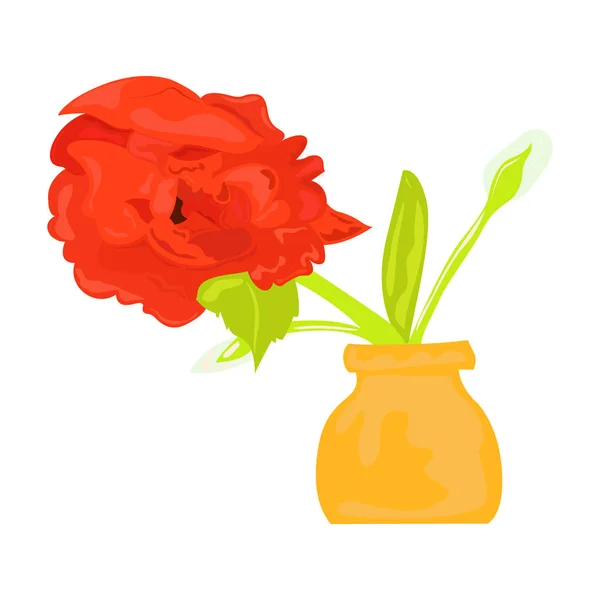 Acuarela aislada flor — Vector de stock