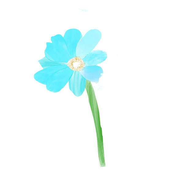 Fleurs d'aquarelle isolées — Image vectorielle