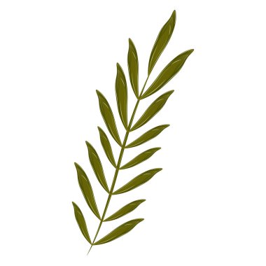 İzole edilmiş gerçekçi yaprak