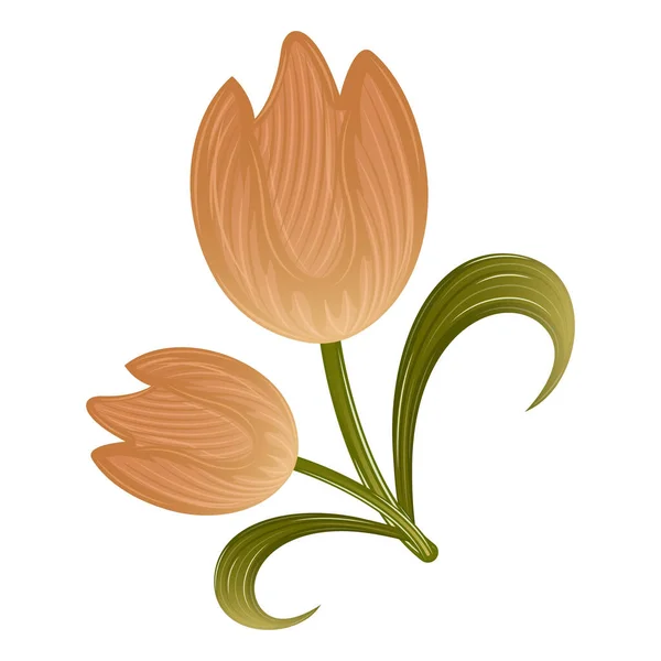 Illustration de fleurs isolées réalistes — Image vectorielle