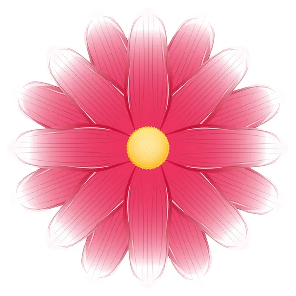 Ilustración floral realista aislada — Vector de stock