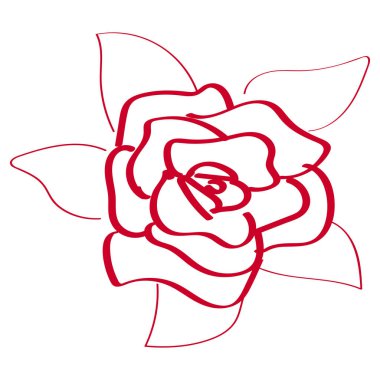 Bir gülün dış çizgisi