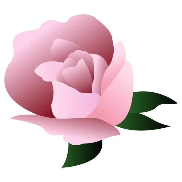 Geïsoleerde roze roos — Stockvector