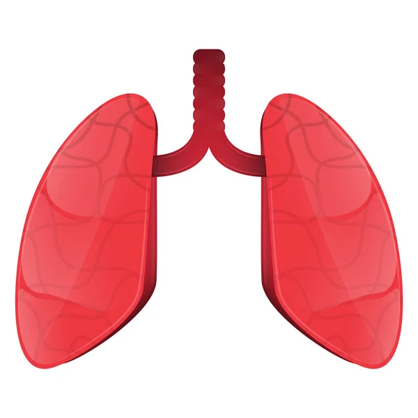 Imagen aislada de los pulmones — Vector de stock