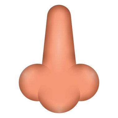 İzole burun görüntüsü