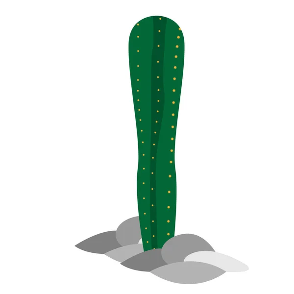 Icono de cactus aislado — Vector de stock