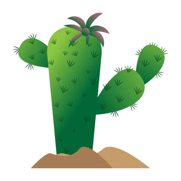 Isolated cactus icon — Stock Vector