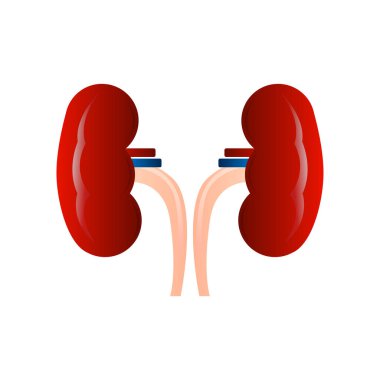 İzole böbrek simgesi