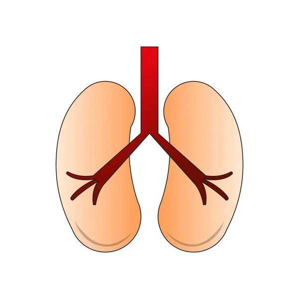 Icono de pulmones aislados — Vector de stock