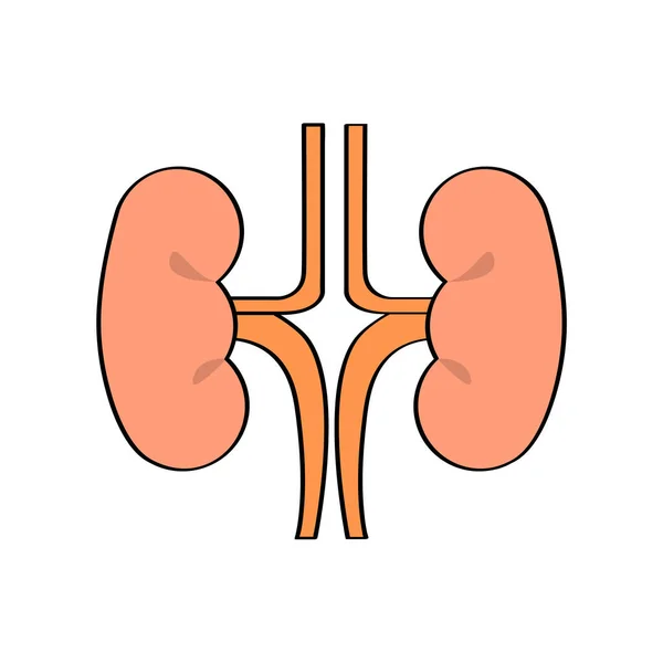 Isoleerde nieren icoon — Stockvector