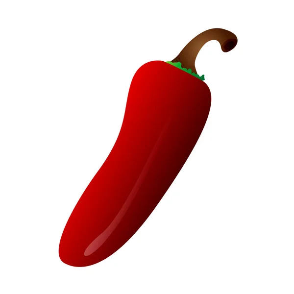 Izolovaný červený chilli pepř — Stockový vektor