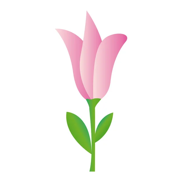 Tulipán rosa aislado — Vector de stock