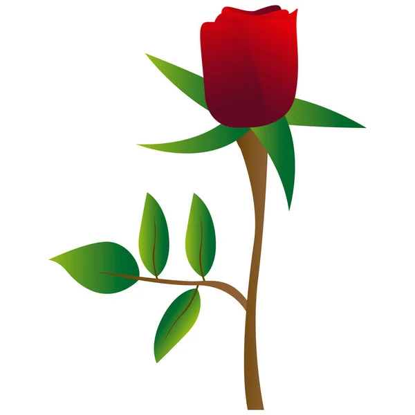 Izolovaný růžový květ — Stockový vektor